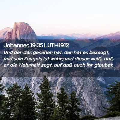 Picture 02 - Johannes 19:35 LUTH1912 - Und der das gesehen hat, der hat es bezeugt, und - Bible Verse Picture