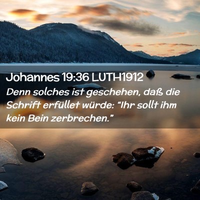 Picture 02 - Johannes 19:36 LUTH1912 - Denn solches ist geschehen, daß die Schrift - Bible Verse Picture