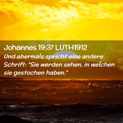 Picture 02 - Johannes 19:37 LUTH1912 - Und abermals spricht eine andere Schrift: “Sie - Bible Verse Picture