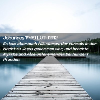 Picture 02 - Johannes 19:39 LUTH1912 - Es kam aber auch Nikodemus, der vormals in der - Bible Verse Picture