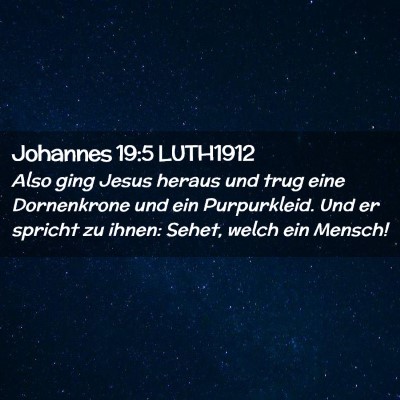 Picture 02 - Johannes 19:5 LUTH1912 - Also ging Jesus heraus und trug eine Dornenkrone - Bible Verse Picture