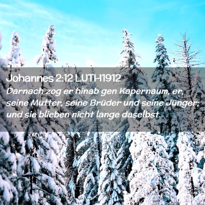 Picture 02 - Johannes 2:12 LUTH1912 - Darnach zog er hinab gen Kapernaum, er, seine - Bible Verse Picture