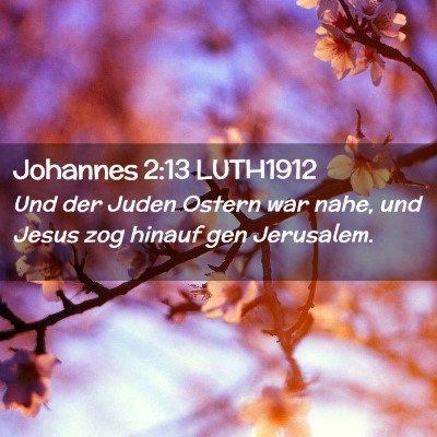 Picture 02 - Johannes 2:13 LUTH1912 - Und der Juden Ostern war nahe, und Jesus zog - Bible Verse Picture