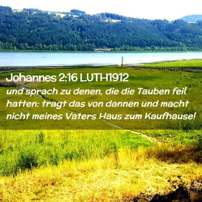 Picture 02 - Johannes 2:16 LUTH1912 - und sprach zu denen, die die Tauben feil hatten: - Bible Verse Picture