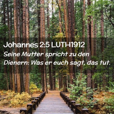 Picture 02 - Johannes 2:5 LUTH1912 - Seine Mutter spricht zu den Dienern: Was er euch - Bible Verse Picture