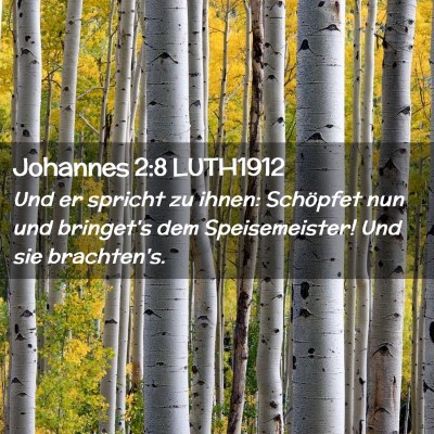 Picture 02 - Johannes 2:8 LUTH1912 - Und er spricht zu ihnen: Schöpfet nun und - Bible Verse Picture