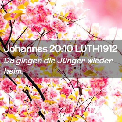 Picture 02 - Johannes 20:10 LUTH1912 - Da gingen die Jünger wieder - Bible Verse Picture