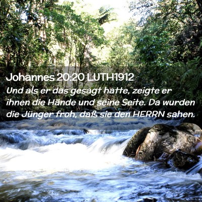 Picture 02 - Johannes 20:20 LUTH1912 - Und als er das gesagt hatte, zeigte er ihnen die - Bible Verse Picture