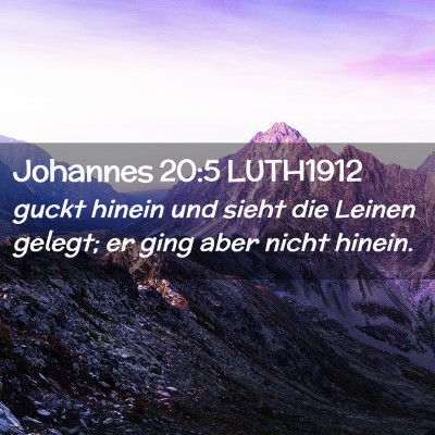Picture 02 - Johannes 20:5 LUTH1912 - guckt hinein und sieht die Leinen gelegt; er ging - Bible Verse Picture