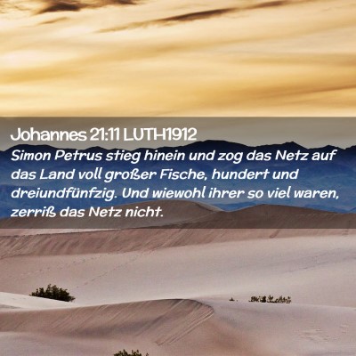 Picture 02 - Johannes 21:11 LUTH1912 - Simon Petrus stieg hinein und zog das Netz auf - Bible Verse Picture