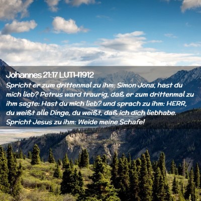 Picture 02 - Johannes 21:17 LUTH1912 - Spricht er zum drittenmal zu ihm: Simon Jona, - Bible Verse Picture