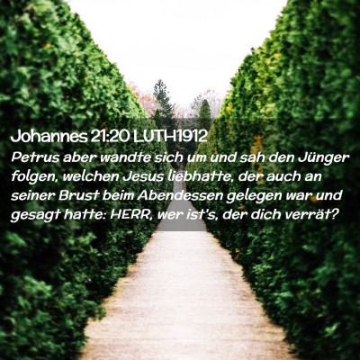 Picture 02 - Johannes 21:20 LUTH1912 - Petrus aber wandte sich um und sah den Jünger - Bible Verse Picture
