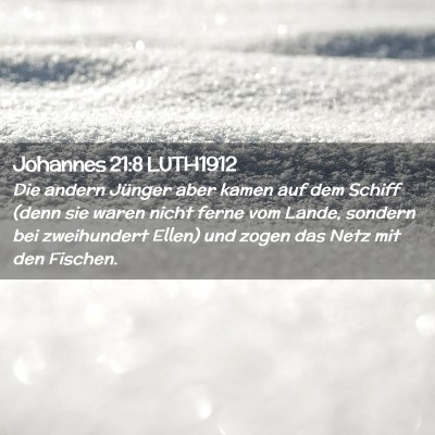 Picture 02 - Johannes 21:8 LUTH1912 - Die andern Jünger aber kamen auf dem Schiff - Bible Verse Picture