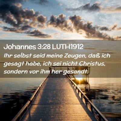 Picture 02 - Johannes 3:28 LUTH1912 - Ihr selbst seid meine Zeugen, daß ich gesagt - Bible Verse Picture