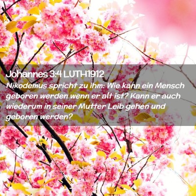 Picture 02 - Johannes 3:4 LUTH1912 - Nikodemus spricht zu ihm: Wie kann ein Mensch - Bible Verse Picture