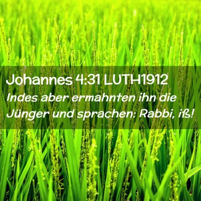 Picture 02 - Johannes 4:31 LUTH1912 - Indes aber ermahnten ihn die Jünger und - Bible Verse Picture