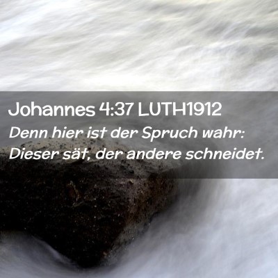 Picture 02 - Johannes 4:37 LUTH1912 - Denn hier ist der Spruch wahr: Dieser sät, der - Bible Verse Picture
