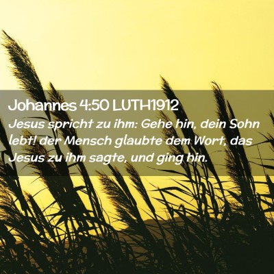 Picture 02 - Johannes 4:50 LUTH1912 - Jesus spricht zu ihm: Gehe hin, dein Sohn lebt! - Bible Verse Picture