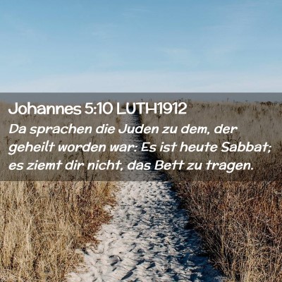 Picture 02 - Johannes 5:10 LUTH1912 - Da sprachen die Juden zu dem, der geheilt worden - Bible Verse Picture