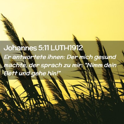 Picture 02 - Johannes 5:11 LUTH1912 - Er antwortete ihnen: Der mich gesund machte, der - Bible Verse Picture