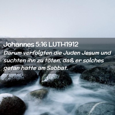 Picture 02 - Johannes 5:16 LUTH1912 - Darum verfolgten die Juden Jesum und suchten ihn - Bible Verse Picture