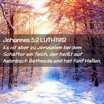 Picture 02 - Johannes 5:2 LUTH1912 - Es ist aber zu Jerusalem bei dem Schaftor ein - Bible Verse Picture