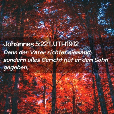 Picture 02 - Johannes 5:22 LUTH1912 - Denn der Vater richtet niemand; sondern alles - Bible Verse Picture
