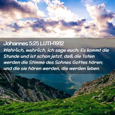 Picture 02 - Johannes 5:25 LUTH1912 - Wahrlich, wahrlich, ich sage euch: Es kommt die - Bible Verse Picture