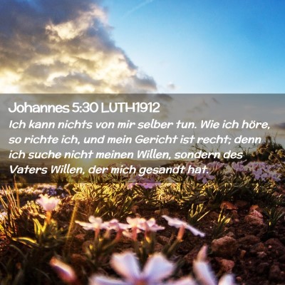 Picture 02 - Johannes 5:30 LUTH1912 - Ich kann nichts von mir selber tun. Wie ich - Bible Verse Picture
