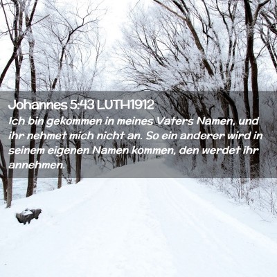 Picture 02 - Johannes 5:43 LUTH1912 - Ich bin gekommen in meines Vaters Namen, und ihr - Bible Verse Picture