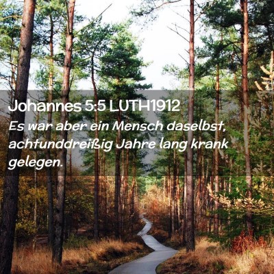 Picture 02 - Johannes 5:5 LUTH1912 - Es war aber ein Mensch daselbst, achtunddreißig - Bible Verse Picture