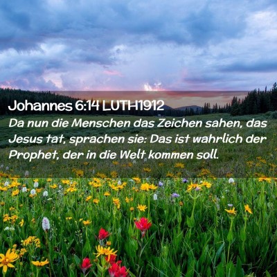 Picture 02 - Johannes 6:14 LUTH1912 - Da nun die Menschen das Zeichen sahen, das Jesus - Bible Verse Picture