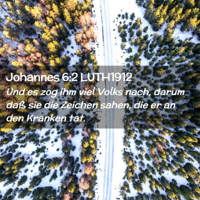 Picture 02 - Johannes 6:2 LUTH1912 - Und es zog ihm viel Volks nach, darum daß sie - Bible Verse Picture