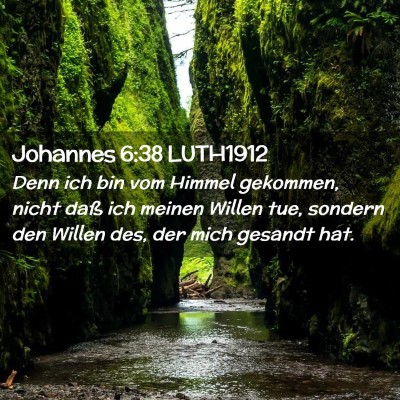 Picture 02 - Johannes 6:38 LUTH1912 - Denn ich bin vom Himmel gekommen, nicht daß ich - Bible Verse Picture
