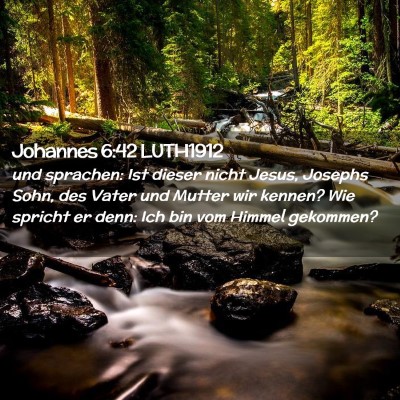 Picture 02 - Johannes 6:42 LUTH1912 - und sprachen: Ist dieser nicht Jesus, Josephs - Bible Verse Picture