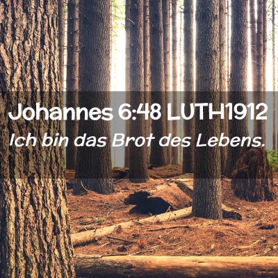 Picture 02 - Johannes 6:48 LUTH1912 - Ich bin das Brot des - Bible Verse Picture