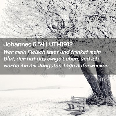 Picture 02 - Johannes 6:54 LUTH1912 - Wer mein Fleisch isset und trinket mein Blut, der - Bible Verse Picture