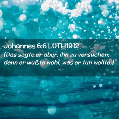 Picture 02 - Johannes 6:6 LUTH1912 - (Das sagte er aber, ihn zu versuchen; denn er - Bible Verse Picture