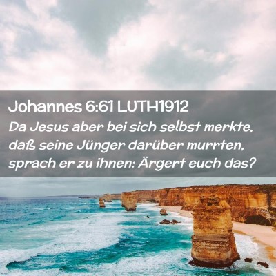 Picture 02 - Johannes 6:61 LUTH1912 - Da Jesus aber bei sich selbst merkte, daß seine - Bible Verse Picture