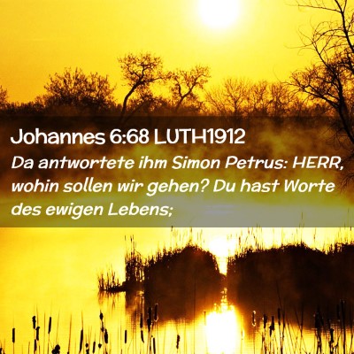 Picture 02 - Johannes 6:68 LUTH1912 - Da antwortete ihm Simon Petrus: HERR, wohin - Bible Verse Picture
