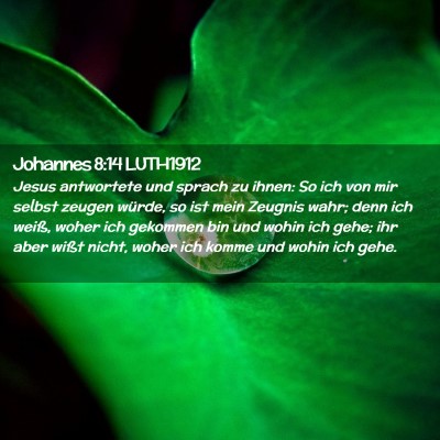 Picture 02 - Johannes 8:14 LUTH1912 - Jesus antwortete und sprach zu ihnen: So ich von - Bible Verse Picture