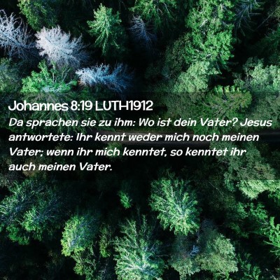Picture 02 - Johannes 8:19 LUTH1912 - Da sprachen sie zu ihm: Wo ist dein Vater? Jesus - Bible Verse Picture