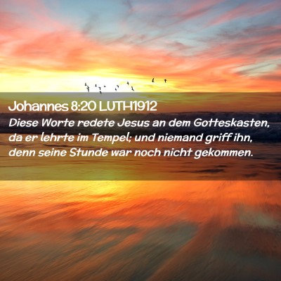 Picture 02 - Johannes 8:20 LUTH1912 - Diese Worte redete Jesus an dem Gotteskasten, da - Bible Verse Picture