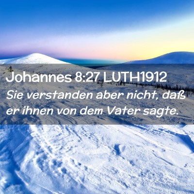 Picture 02 - Johannes 8:27 LUTH1912 - Sie verstanden aber nicht, daß er ihnen von dem - Bible Verse Picture