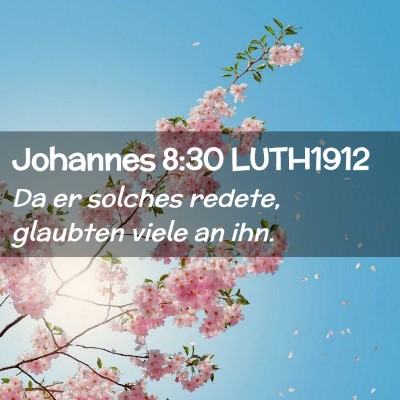 Picture 02 - Johannes 8:30 LUTH1912 - Da er solches redete, glaubten viele an - Bible Verse Picture
