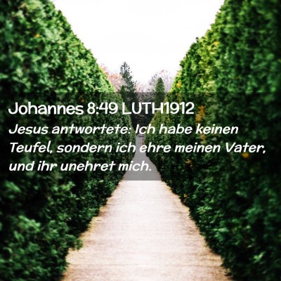 Picture 02 - Johannes 8:49 LUTH1912 - Jesus antwortete: Ich habe keinen Teufel, sondern - Bible Verse Picture