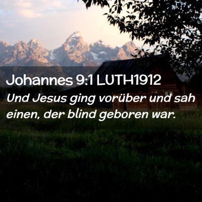 Picture 02 - Johannes 9:1 LUTH1912 - Und Jesus ging vorüber und sah einen, der blind - Bible Verse Picture