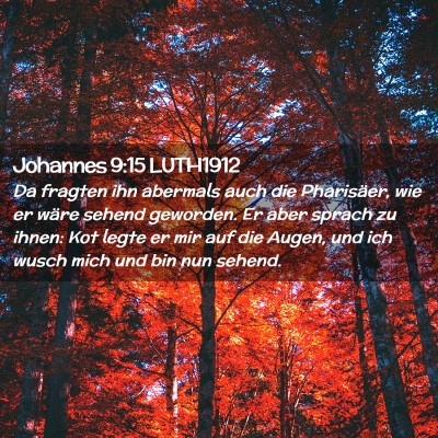 Picture 02 - Johannes 9:15 LUTH1912 - Da fragten ihn abermals auch die Pharisäer, wie - Bible Verse Picture