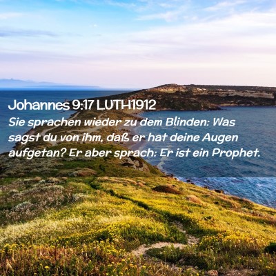 Picture 02 - Johannes 9:17 LUTH1912 - Sie sprachen wieder zu dem Blinden: Was sagst du - Bible Verse Picture