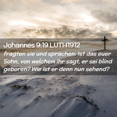 Picture 02 - Johannes 9:19 LUTH1912 - fragten sie und sprachen: Ist das euer Sohn, von - Bible Verse Picture